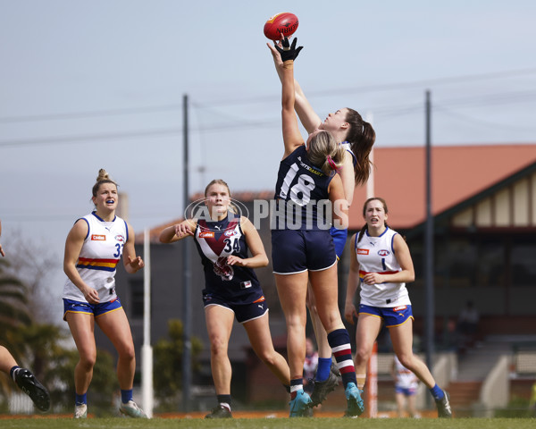 Coates League Girls 2023 - Sandringham Dragons v Eastern Ranges - A-42494899