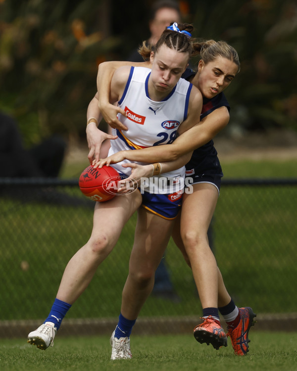 Coates League Girls 2023 - Sandringham Dragons v Eastern Ranges - A-42494930