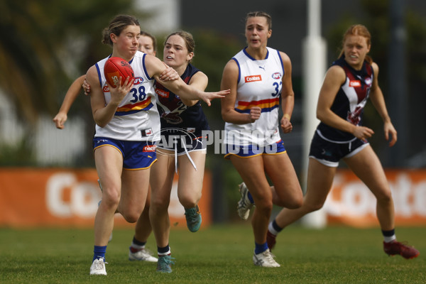 Coates League Girls 2023 - Sandringham Dragons v Eastern Ranges - A-42494932