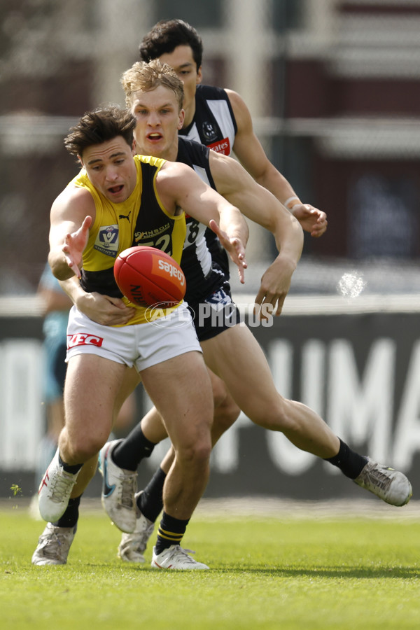 VFL 2023 Wildcard Round - Collingwood v Richmond - A-42497379