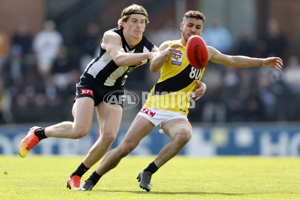 VFL 2023 Wildcard Round - Collingwood v Richmond - A-42497461