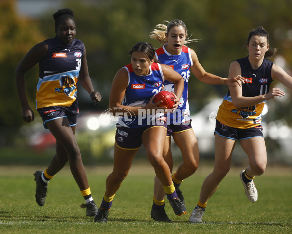 Coates League Girls 2023 - Oakleigh Chargers v Bendigo Pioneers - A-42497944