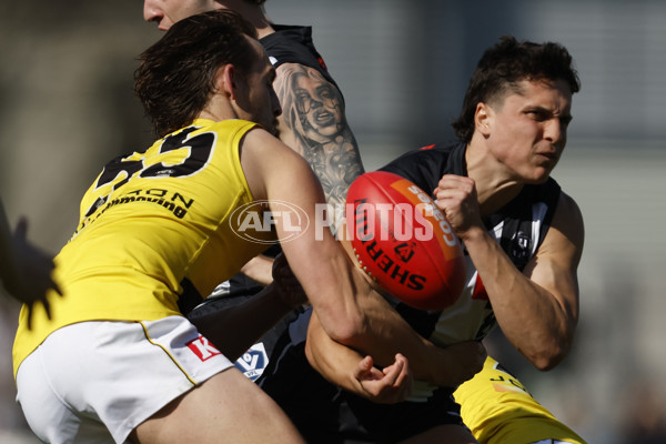 VFL 2023 Wildcard Round - Collingwood v Richmond - A-42497968