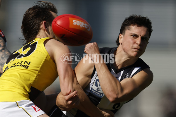 VFL 2023 Wildcard Round - Collingwood v Richmond - A-42497969