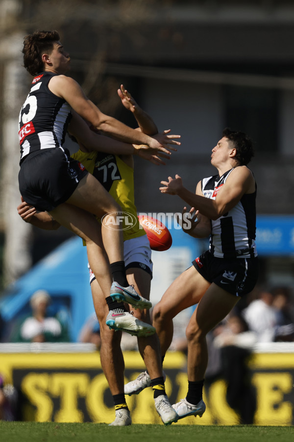 VFL 2023 Wildcard Round - Collingwood v Richmond - A-42499920