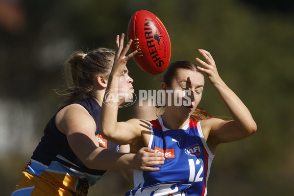 Coates League Girls 2023 - Oakleigh Chargers v Bendigo Pioneers - A-42499966