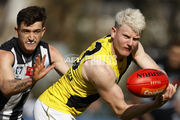 VFL 2023 Wildcard Round - Collingwood v Richmond - A-42502767