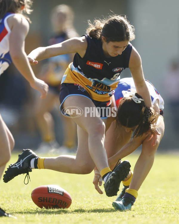 Coates League Girls 2023 - Oakleigh Chargers v Bendigo Pioneers - A-42502799