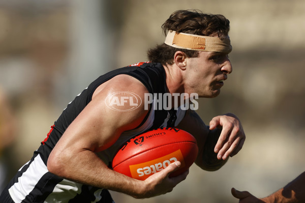 VFL 2023 Wildcard Round - Collingwood v Richmond - A-42504144