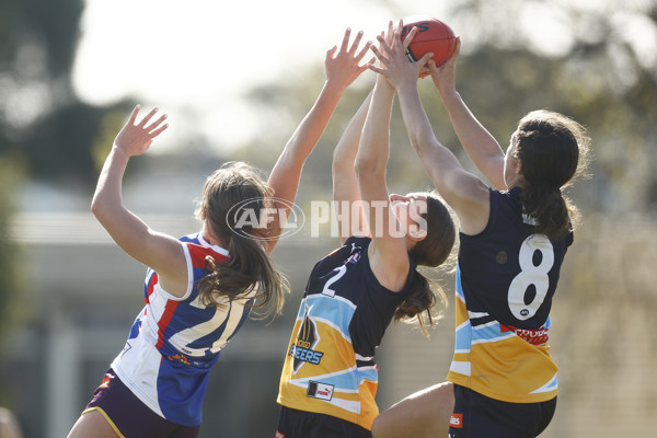 Coates League Girls 2023 - Oakleigh Chargers v Bendigo Pioneers - A-42504174