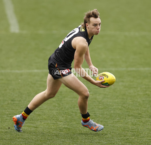 AFL 2023 Training - St Kilda 290823 - A-42543691