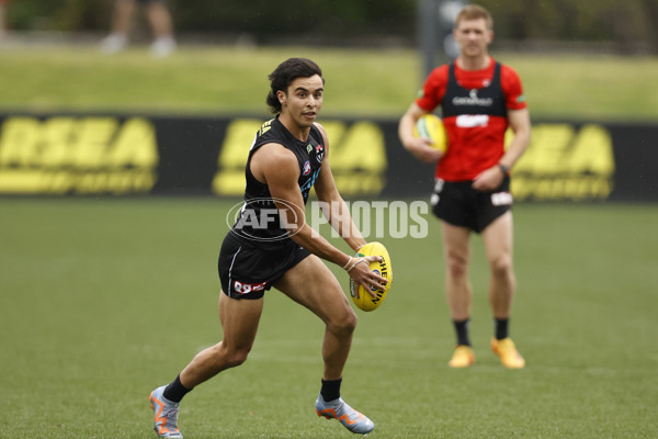 AFL 2023 Training - St Kilda 290823 - A-42600323