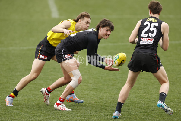 AFL 2023 Training - St Kilda 290823 - A-42600339