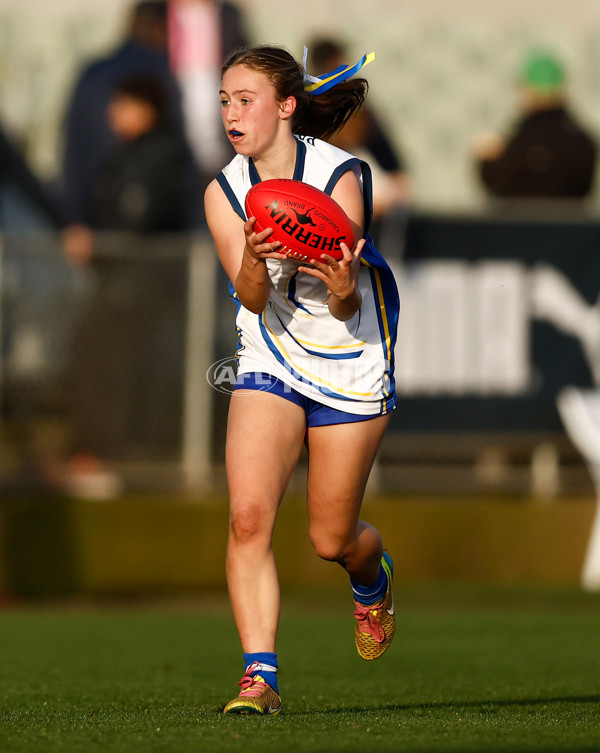 2023 Herald Sun Shield - Division 2 Intermediate Girls Grand Final - A-42620877