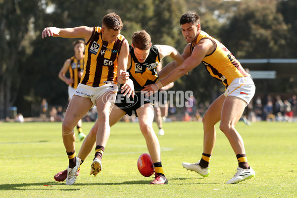 VFL 2023 Qualifying Final - Werribee v Box Hill Hawks - A-42636275