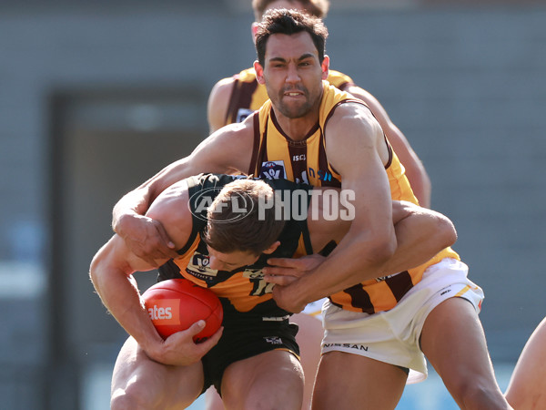 VFL 2023 Qualifying Final - Werribee v Box Hill Hawks - A-42636335