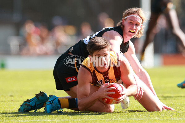 VFL 2023 Qualifying Final - Werribee v Box Hill Hawks - A-42636861