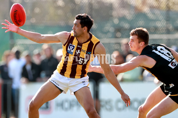 VFL 2023 Qualifying Final - Werribee v Box Hill Hawks - A-42639422