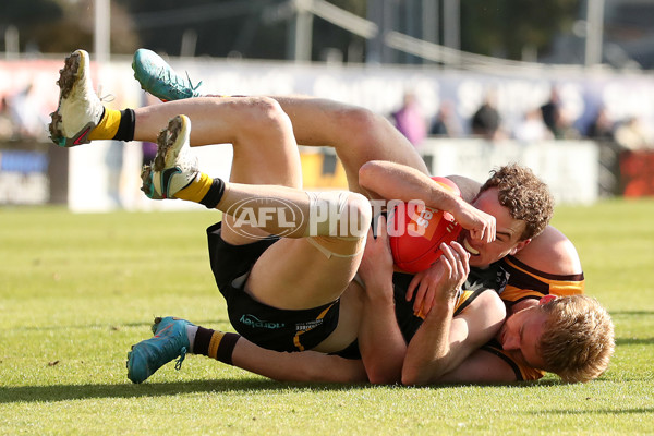 VFL 2023 Qualifying Final - Werribee v Box Hill Hawks - A-42641669