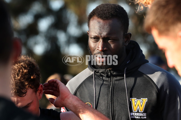 VFL 2023 Qualifying Final - Werribee v Box Hill Hawks - A-42646908