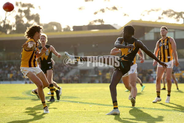 VFL 2023 Qualifying Final - Werribee v Box Hill Hawks - A-42646919