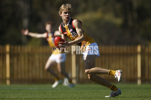 Coates League Boys 2023 - Gippsland Power v Dandenong Stingrays - A-42663345