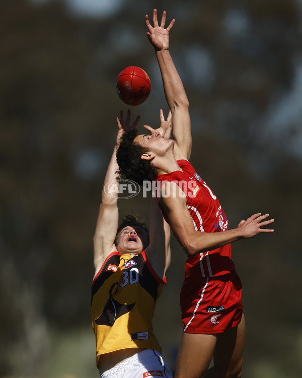 Coates League Boys 2023 - Gippsland Power v Dandenong Stingrays - A-42663400