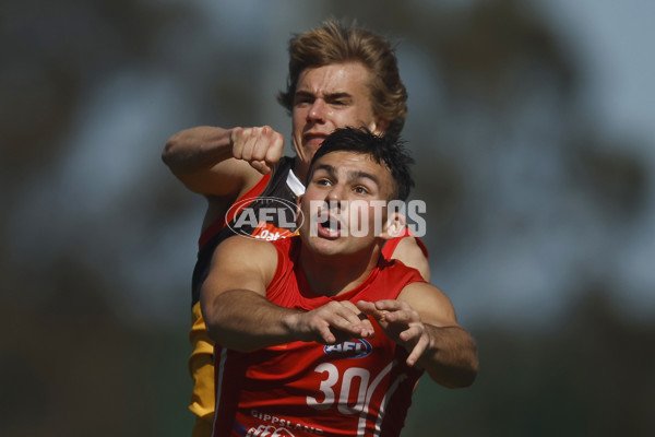 Coates League Boys 2023 - Gippsland Power v Dandenong Stingrays - A-42663401