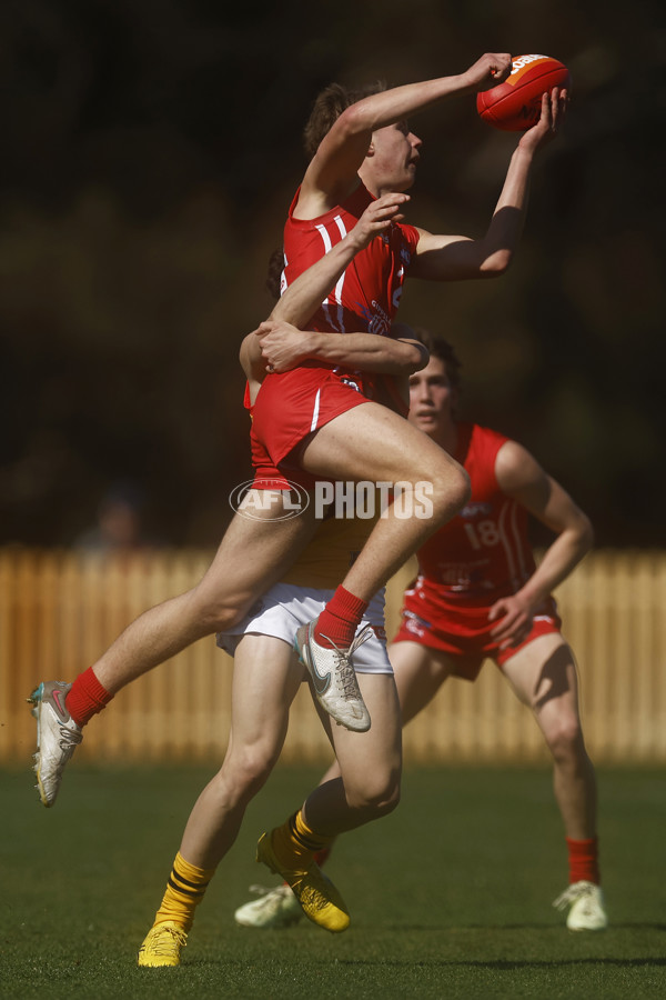 Coates League Boys 2023 - Gippsland Power v Dandenong Stingrays - A-42663543