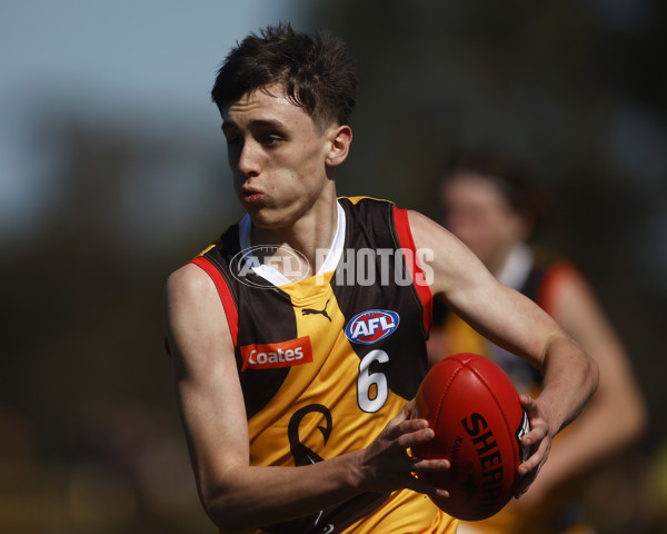 Coates League Boys 2023 - Gippsland Power v Dandenong Stingrays - A-42663595