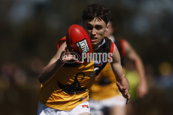 Coates League Boys 2023 - Gippsland Power v Dandenong Stingrays - A-42663597