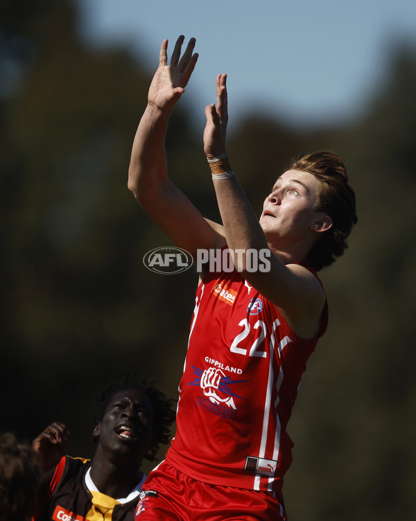 Coates League Boys 2023 - Gippsland Power v Dandenong Stingrays - A-42663603