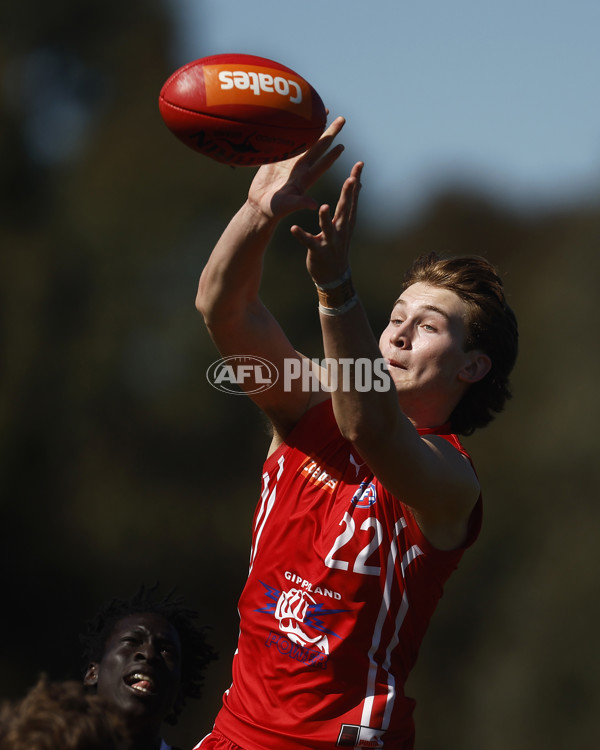 Coates League Boys 2023 - Gippsland Power v Dandenong Stingrays - A-42663604