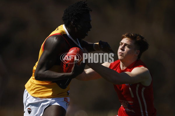 Coates League Boys 2023 - Gippsland Power v Dandenong Stingrays - A-42663610