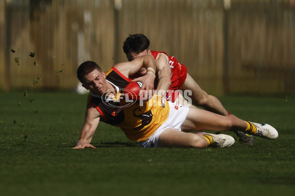 Coates League Boys 2023 - Gippsland Power v Dandenong Stingrays - A-42665775