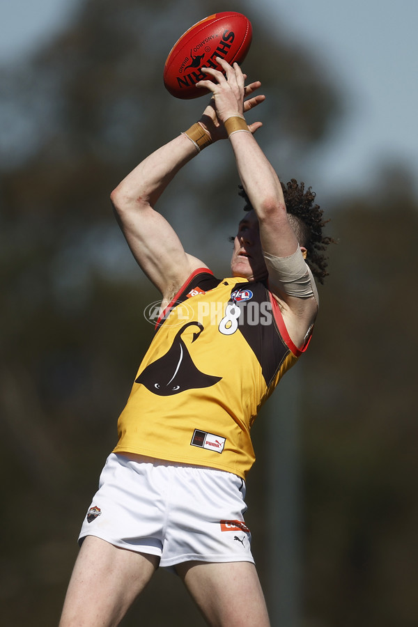 Coates League Boys 2023 - Gippsland Power v Dandenong Stingrays - A-42665777