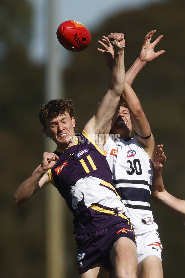 Coates League Boys 2023 - Northern Knights v Oakleigh Chargers - A-42665808