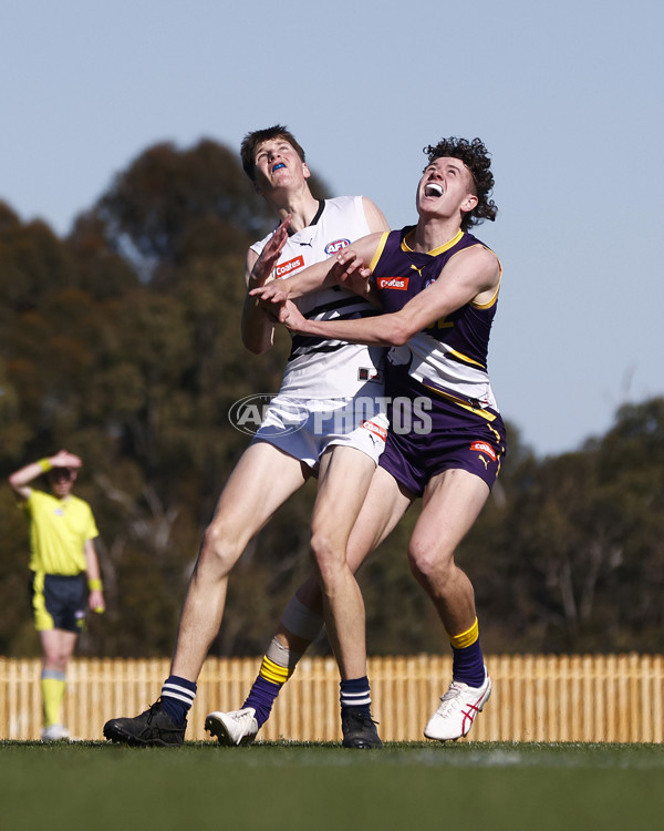 Coates League Boys 2023 - Northern Knights v Oakleigh Chargers - A-42665829