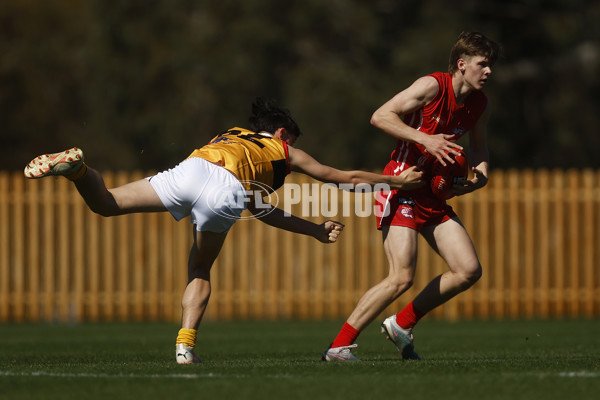 Coates League Boys 2023 - Gippsland Power v Dandenong Stingrays - A-42666465