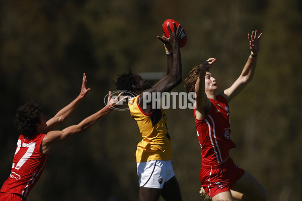 Coates League Boys 2023 - Gippsland Power v Dandenong Stingrays - A-42666466