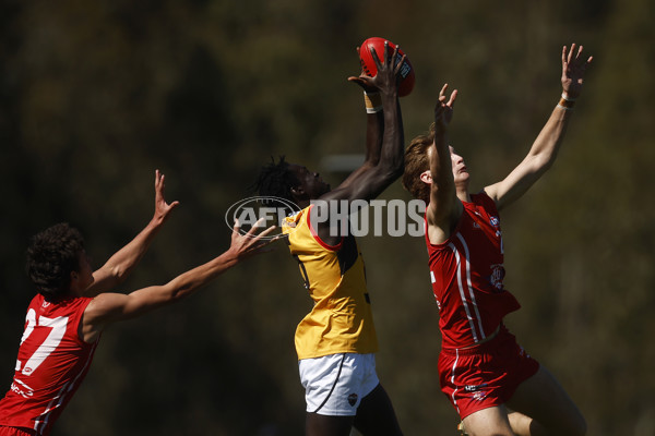 Coates League Boys 2023 - Gippsland Power v Dandenong Stingrays - A-42666468