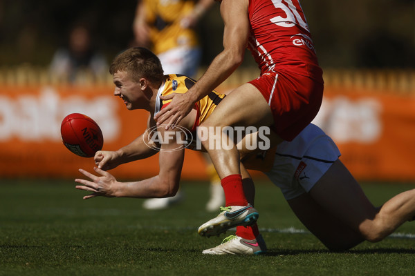 Coates League Boys 2023 - Gippsland Power v Dandenong Stingrays - A-42666474