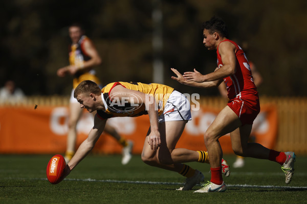 Coates League Boys 2023 - Gippsland Power v Dandenong Stingrays - A-42666475