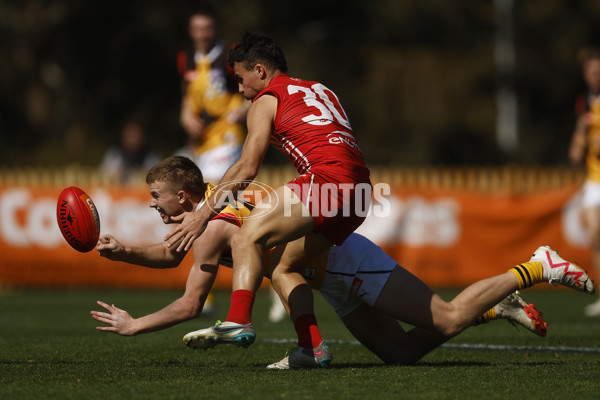 Coates League Boys 2023 - Gippsland Power v Dandenong Stingrays - A-42666476