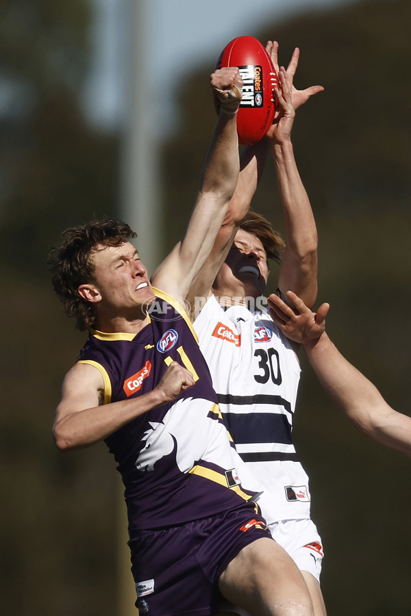 Coates League Boys 2023 - Northern Knights v Oakleigh Chargers - A-42666503