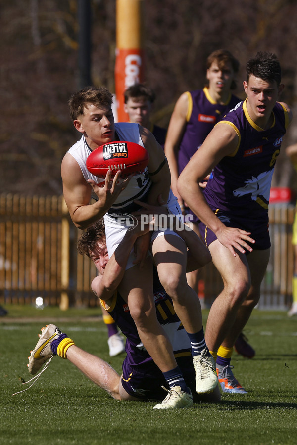 Coates League Boys 2023 - Northern Knights v Oakleigh Chargers - A-42666532