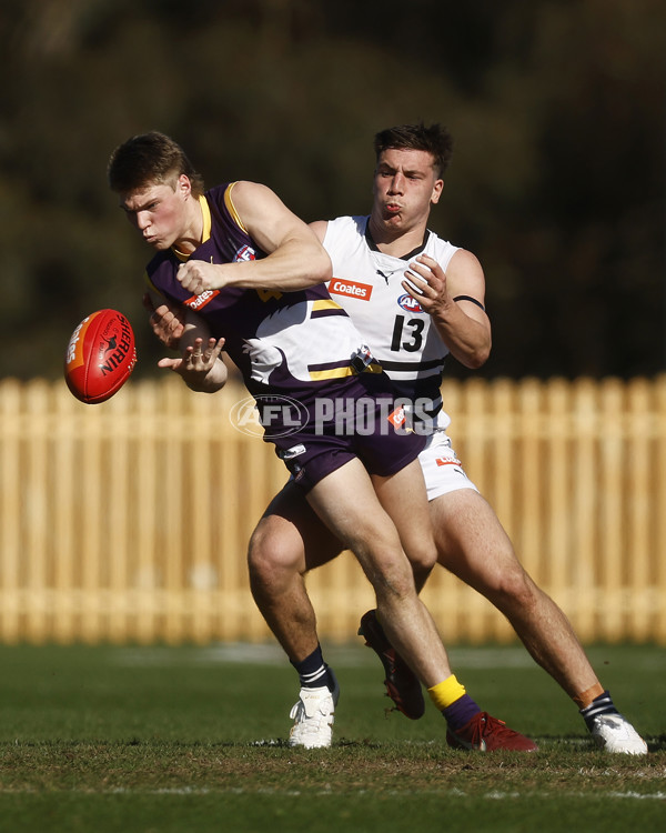 Coates League Boys 2023 - Northern Knights v Oakleigh Chargers - A-42669324