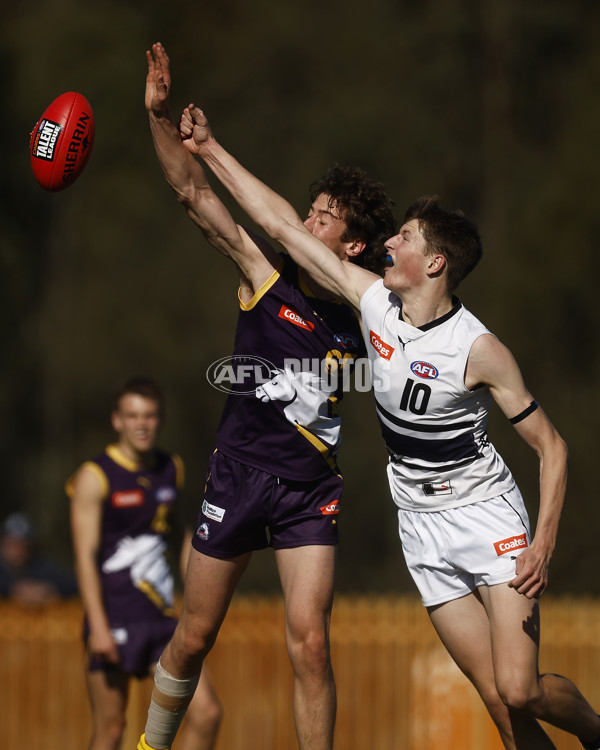 Coates League Boys 2023 - Northern Knights v Oakleigh Chargers - A-42669334