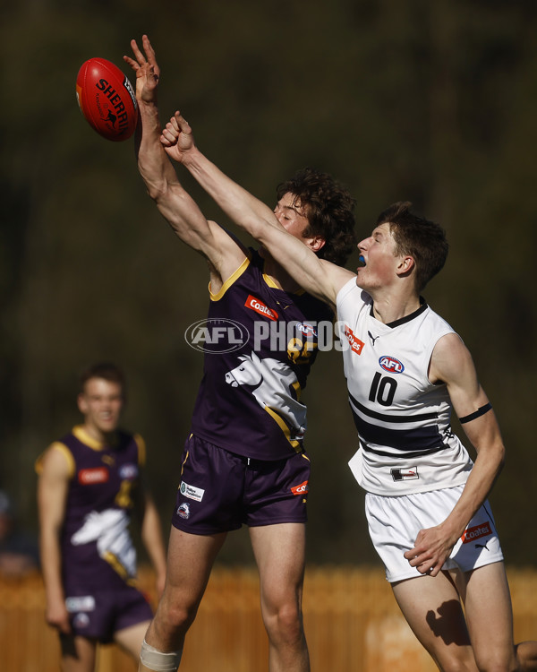 Coates League Boys 2023 - Northern Knights v Oakleigh Chargers - A-42669342