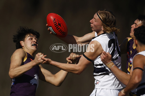 Coates League Boys 2023 - Northern Knights v Oakleigh Chargers - A-42669353